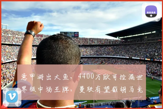 意甲游出大鱼，4400万欧可捡漏世界级中场王牌，曼联有望截胡马竞_1